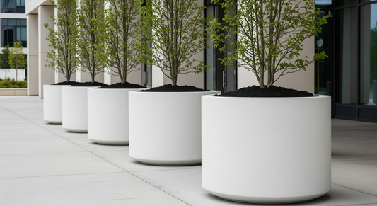 Modern Cylinder Planter