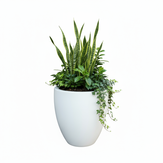 Designed Round Planters-P5