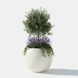 Nova Fiberglass Planters