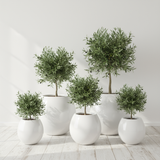 Designed Round Planters-P4