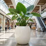 FRP Large Round Planter P0011
