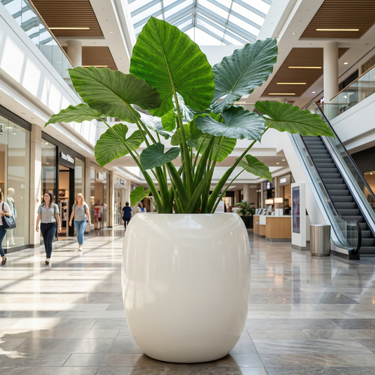 Lotus Fiberglass Round Planter