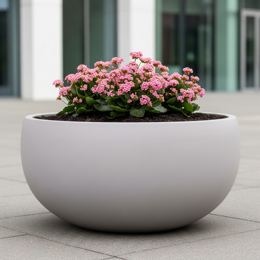 Modern Bowl Planter