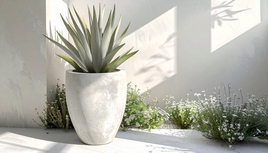 Designed round planters