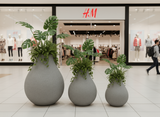 PLUM PLANTER