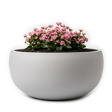 Modern Bowl Planter