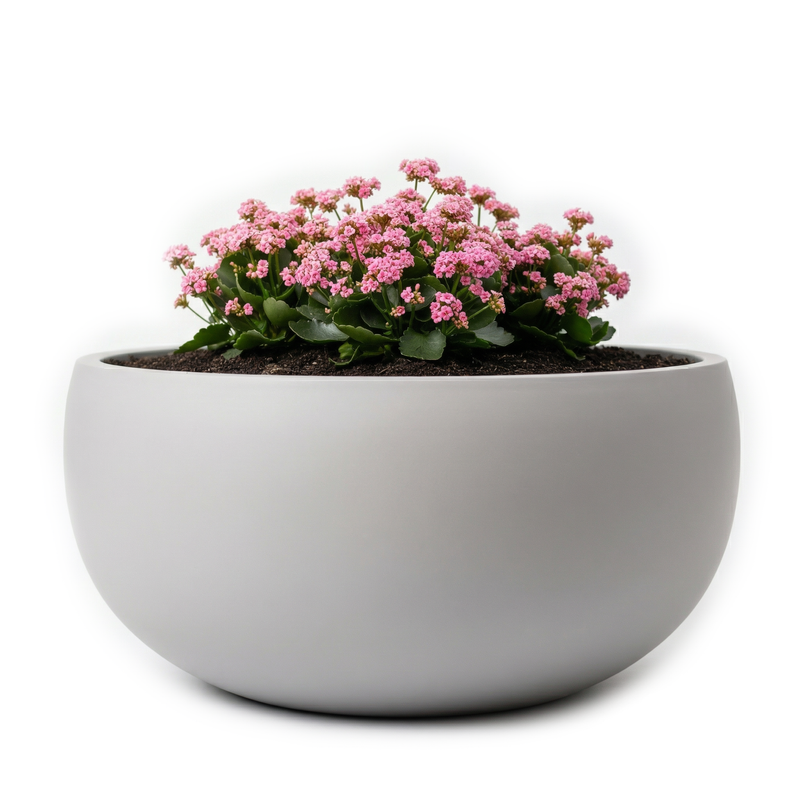 Modern Fiberglass Bowl Planter